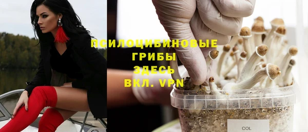 амф Белая Холуница