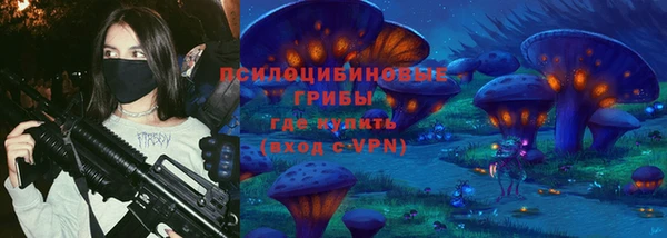 амф Белая Холуница