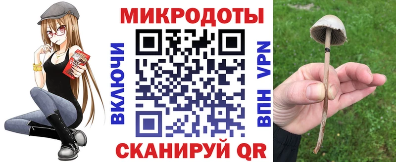 Псилоцибиновые грибы ЛСД  даркнет сайт  Зубцов 