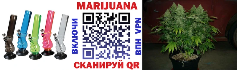 Канабис семена  Зубцов 